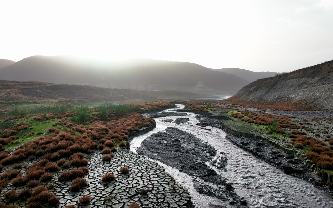 Water Scarcity